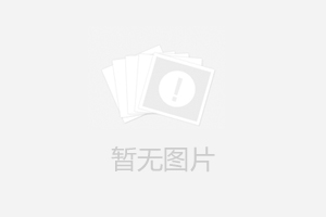 寧波發(fā)電機(jī)價格不斷地上調(diào)